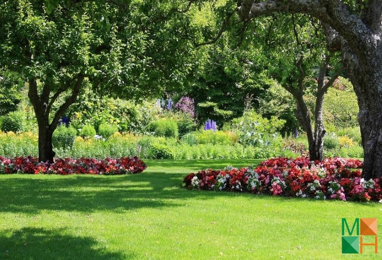 Tranh dán tường cho phòng khách đẹp tại Hà Nội NA - 228